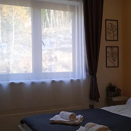 Apartment Comfy Corner N Lux 55 Milmari Kopaonik