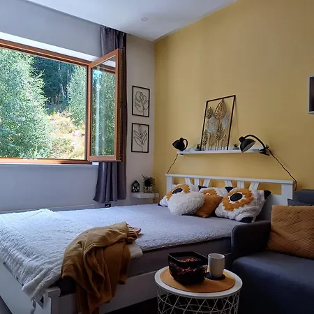 Apartment Comfy Corner N Lux 55 Milmari